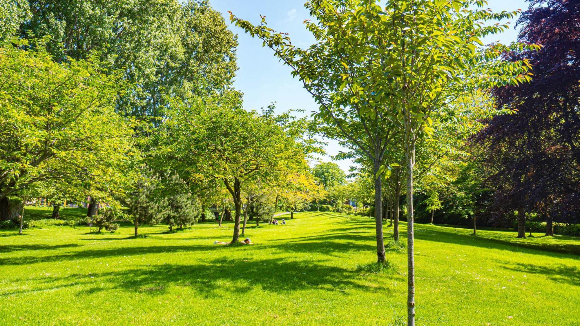 En-suite Triple Near Croke Park - 1 Guest house Dublin