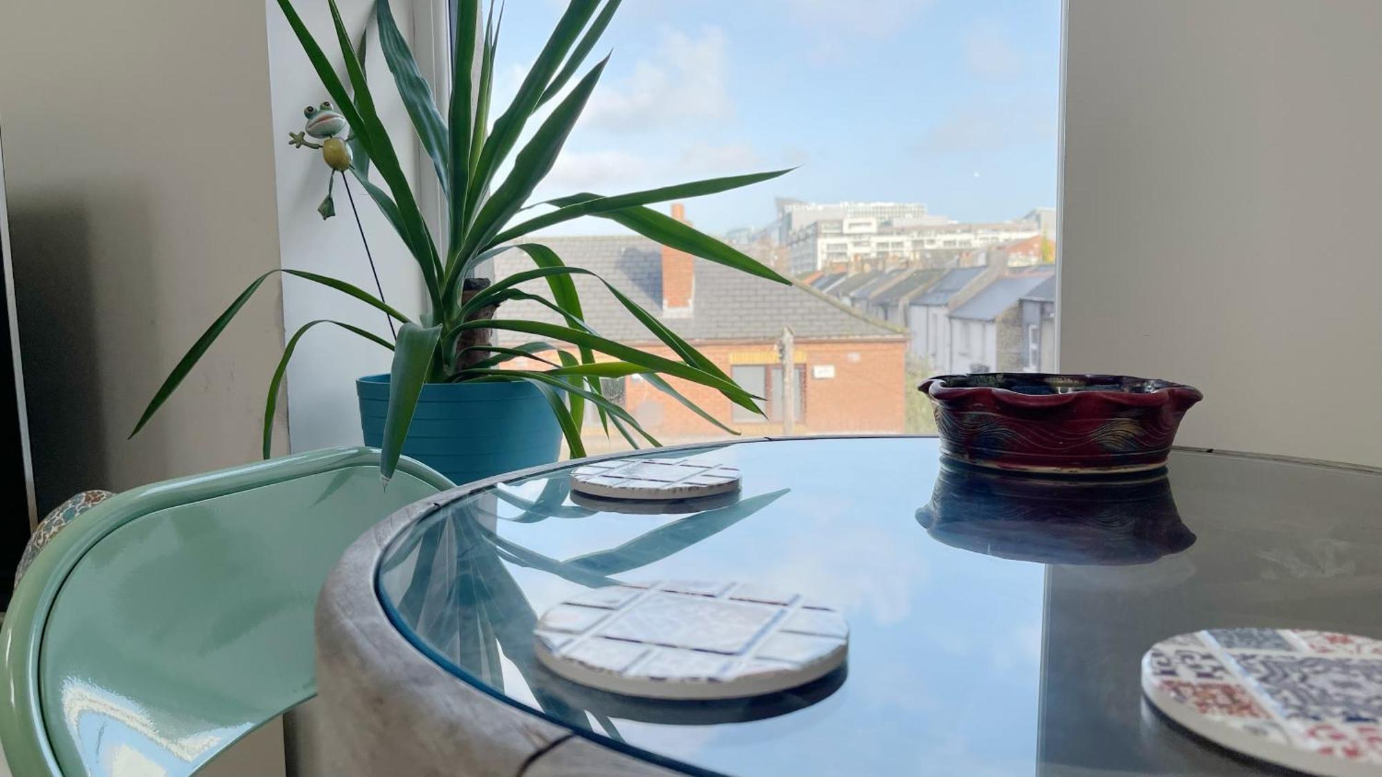 Apartment Stylish High Ceiling In South Center Dublin
