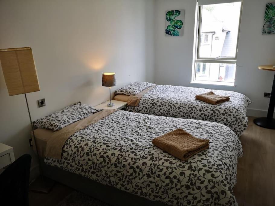 In Blackrock Apartment Dublin