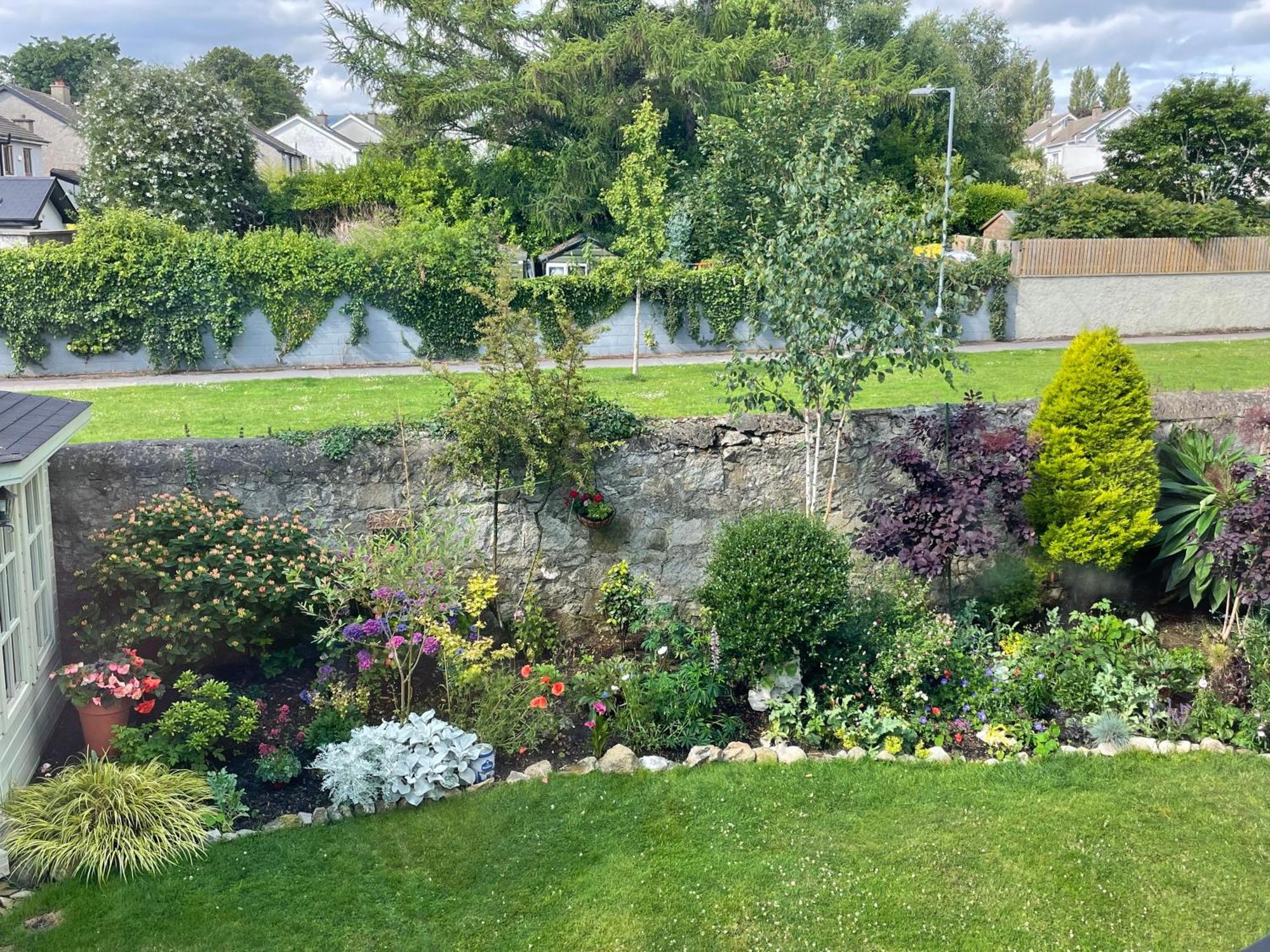 Double Bedroom With Private Toilet And Shower, Easy To Center * Dublin
