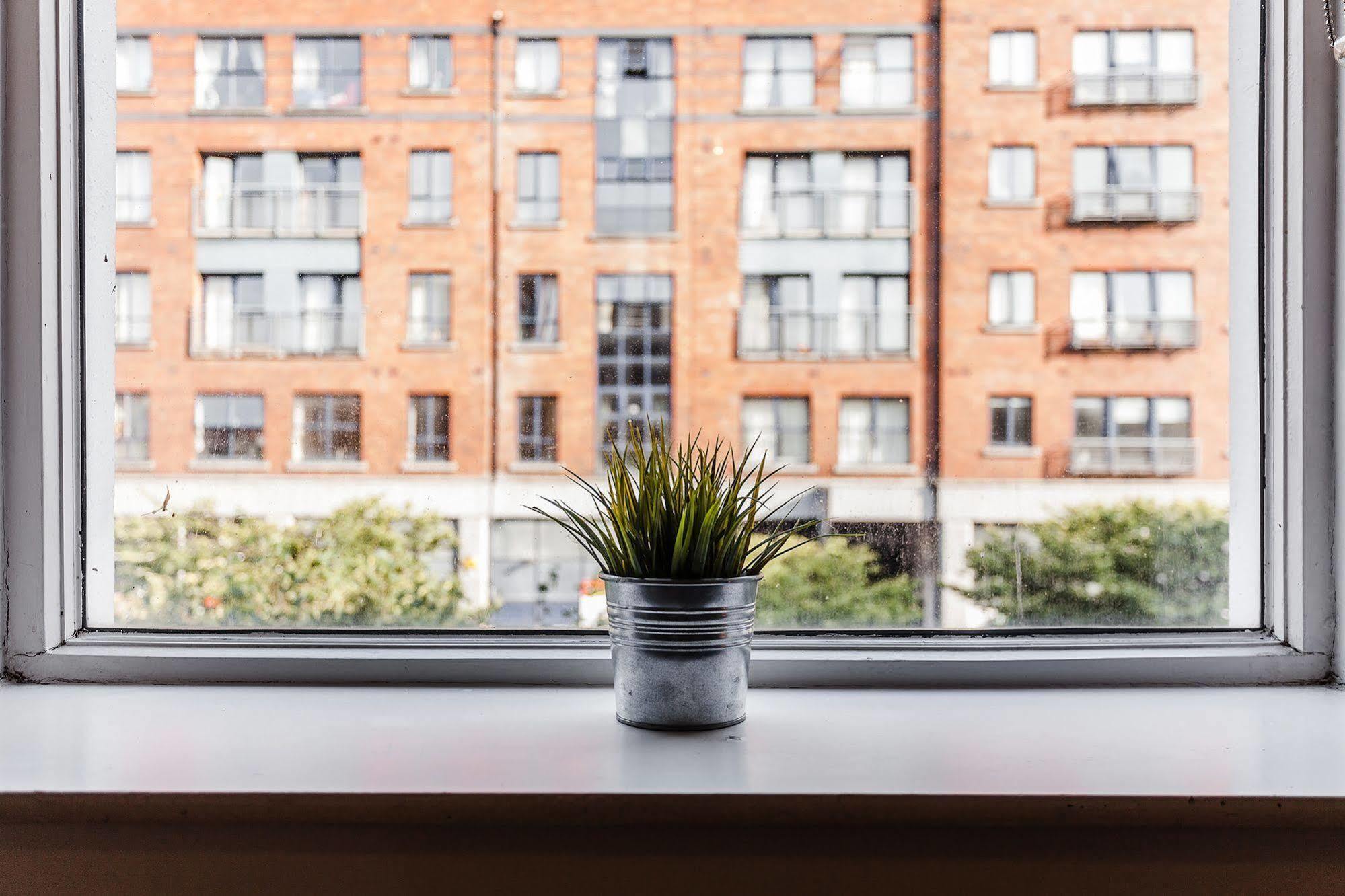 Parnell Apartment