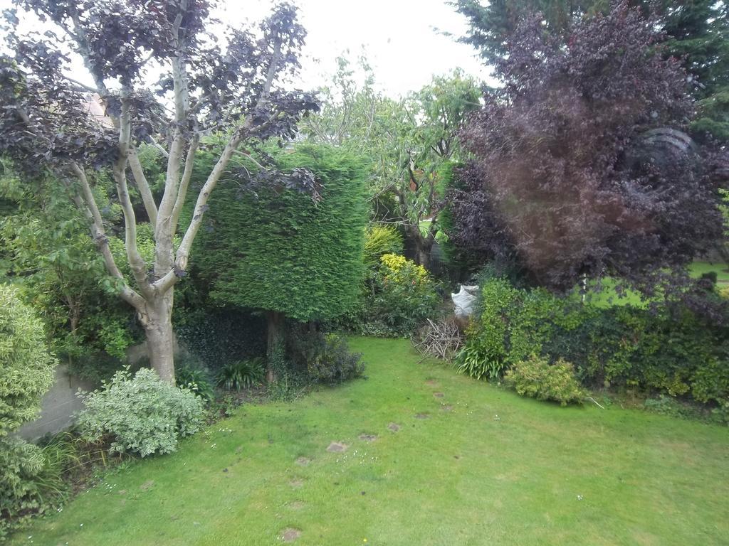 Donnybrook 3*