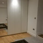 Two Bedroom Modern Basement Apartment