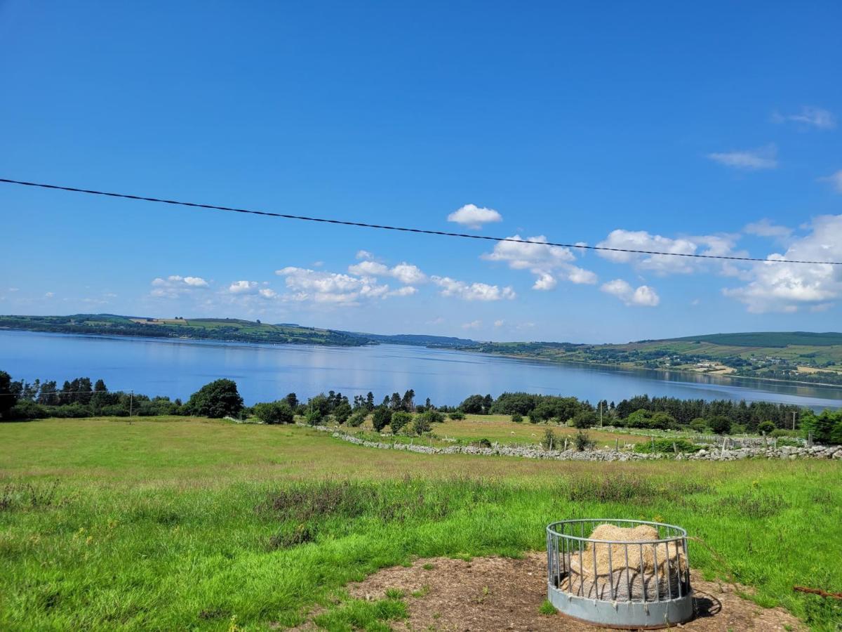 Private In Homestay Dublin