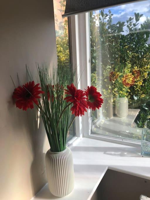 Charming Pheonix Parkside Flat Apartment Dublin