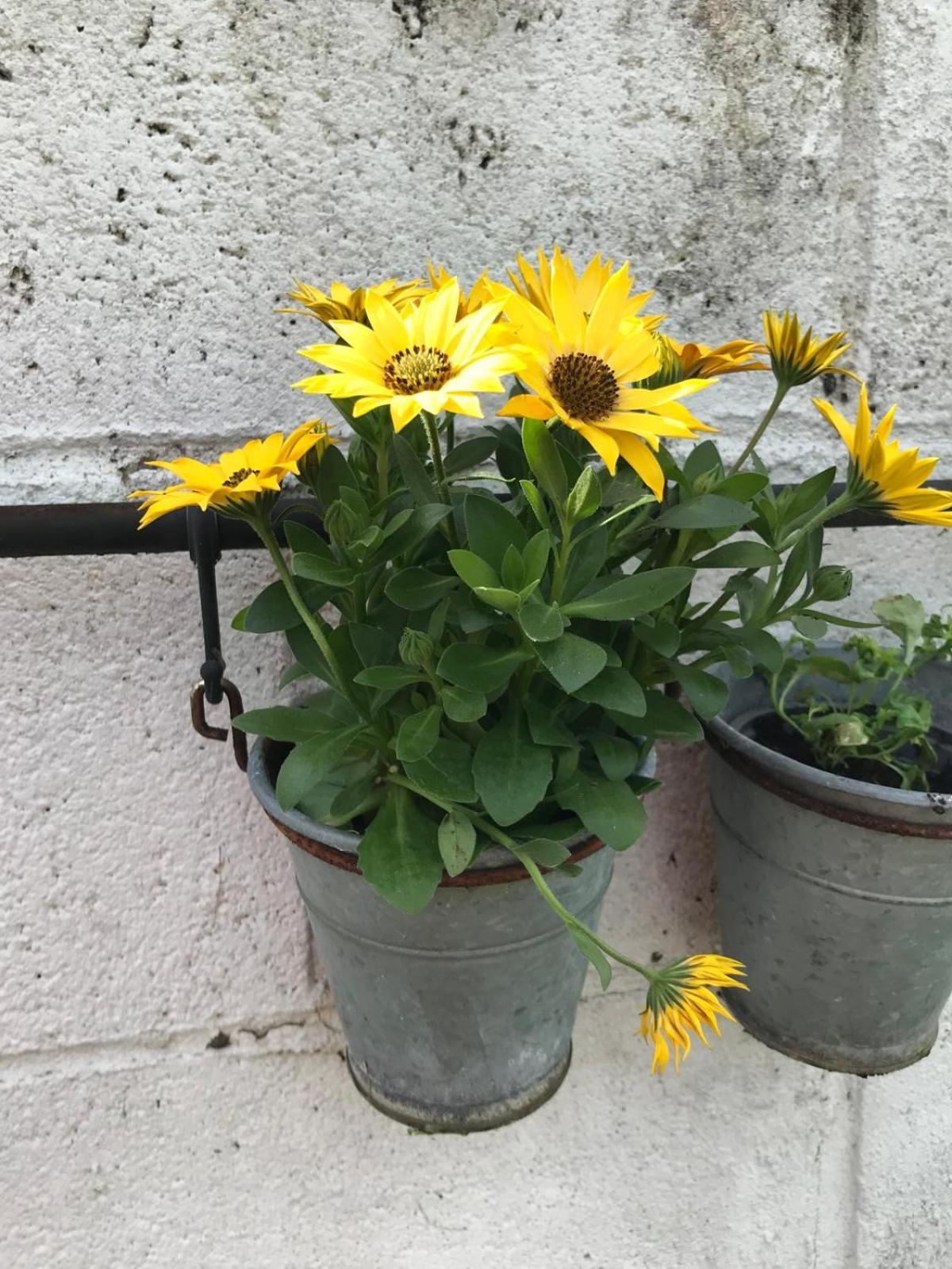 Spacious 3 Bed Townhouse In 12 * Dublin
