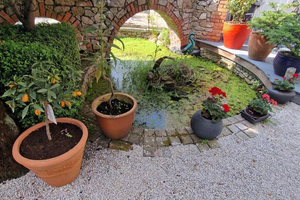 Hideaway Garden Paradise * Dublin