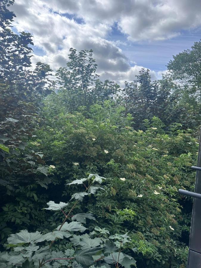 Riverside Homestay Dublin