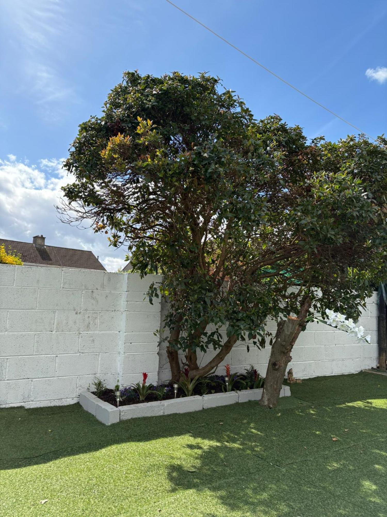 Guest house Superb Triple Near Airport - 4 *
