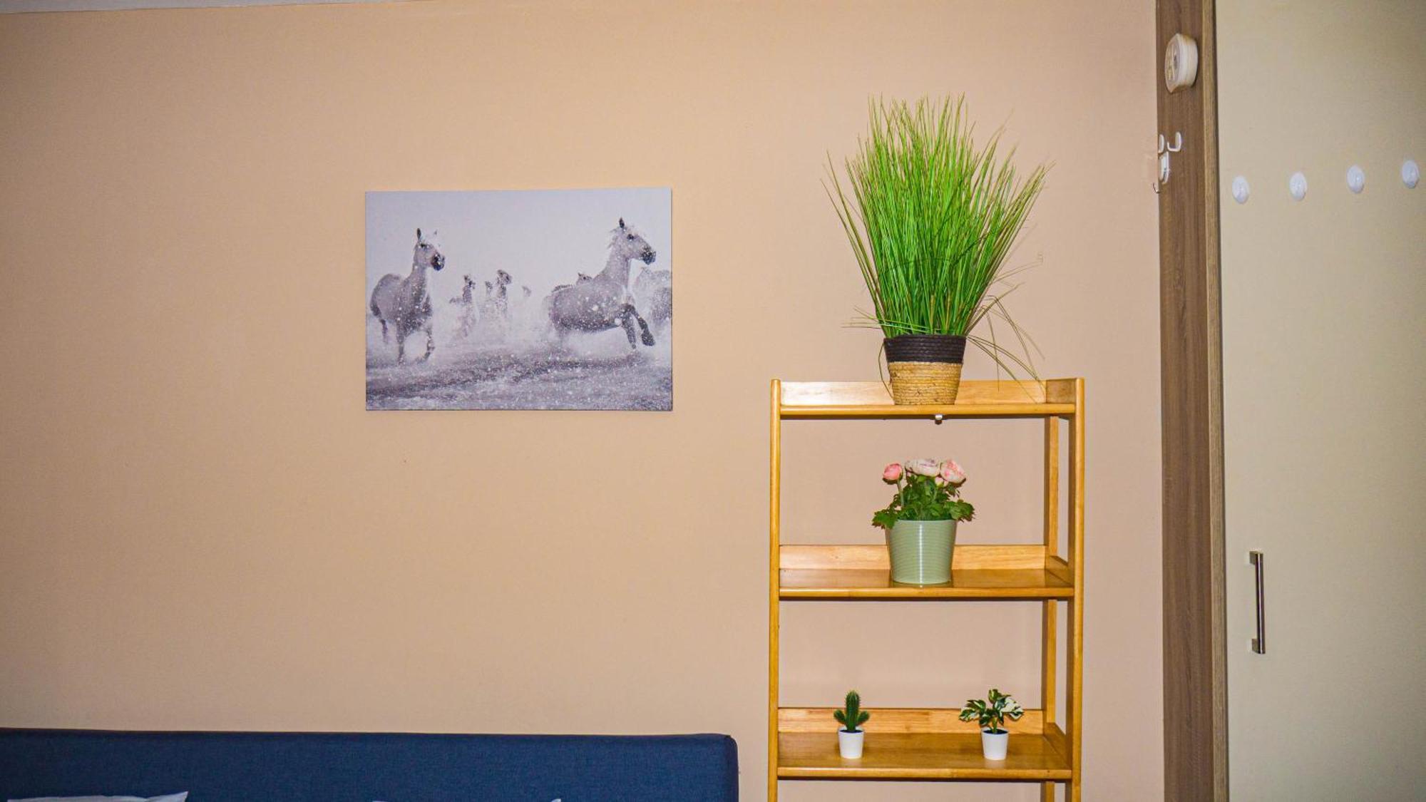 Apartment Cosy Flat Off Centre Dublin